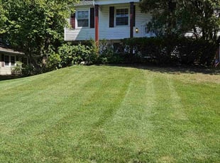 Joyce C.'s Lawn Service service result