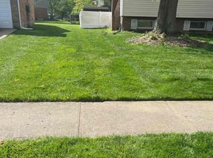 Thor W.'s Lawn Care service result