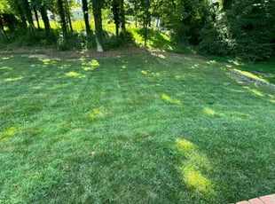 Jake K.'s Lawn Mowing service result