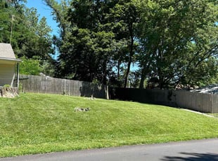chris W.'s Lawn Maintenance service result