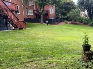 Michelle F.'s Bush Trimming service result