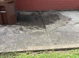 Leaf Removal by Shane Fellers for Jorgetta H. in Wayne, MI