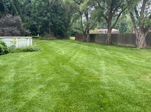 Richard R.'s Lawn Mowing Service service result