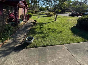 Megan M.'s Lawn Mowing Service service result