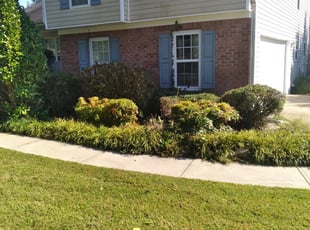 Bush Trimming by Maria Mauro for Solomon P. in Dacula, GA