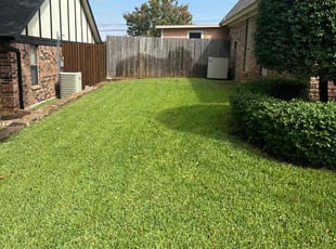 Theresa M.'s Grass Cutting service result