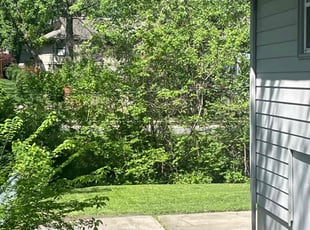 Sarah C.'s Lawn Mowing Service service result