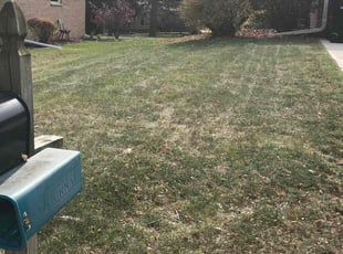 Leaf Removal by Dontrell Hood for Donald D. in Brown Deer, WI