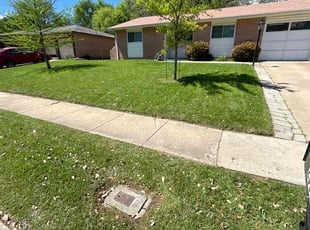 Tammy B.'s Lawn Service service result