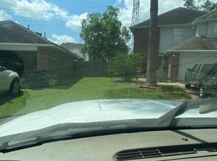 Dianna G.'s Lawn Care service result