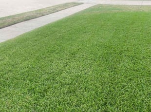 Eric C.'s Grass Cutting service result