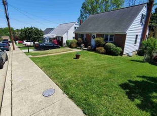 Tara H.'s Lawn Mowing service result