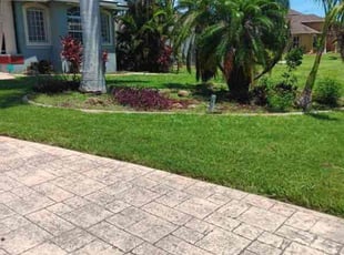 Mike B.'s Lawn Mowing service result