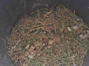 Cleanups by Jose Moreno for William J. in San Antonio, TX