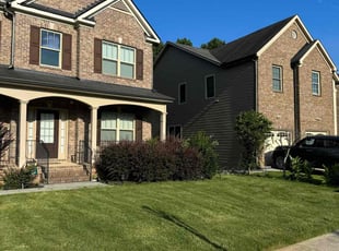 Lisa S.'s Grass Cutting service result