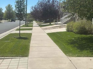 Jennifer B.'s Lawn Service service result
