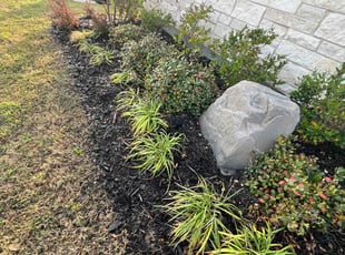 Weeding by Manuel Gonzalez for Caryn T. in Mansfield, TX