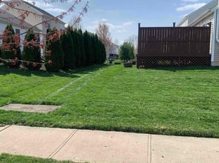 Chris B.'s Lawn Mowing service result