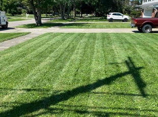 Christian F.'s Yard Cutting service result