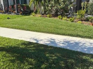 Butch T.'s Lawn Care service result