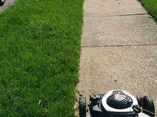 John E.'s Lawn Mowing service result