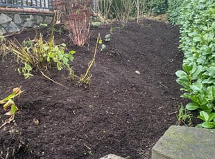 Leaf Removal by Sandra Higbee for Thena S. in Seattle, WA
