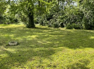Brenda H.'s Lawn Care service result