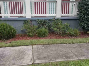 Weeding by Gray Allen for Rebecca F. in New Orleans, LA