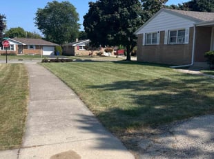 Alisha G.'s Lawn Care service result