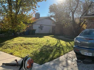 Cleanups by Quentin Morgan for Meghan S. in Lewisville, TX