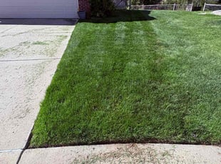 Matt N.'s Lawn Service service result
