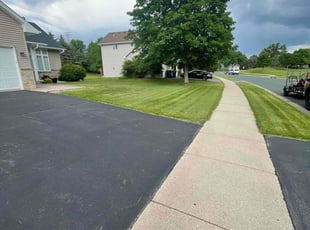 Ariel S.'s Yard Cutting service result