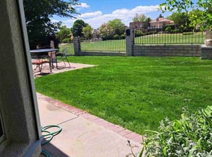 Leanna B.'s Lawn Mowing service result
