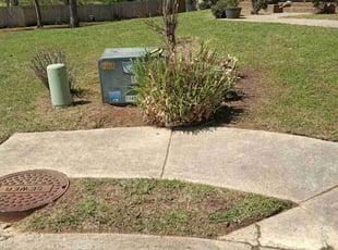 Bush Trimming by Angela Holley for Alexis K. in Ridgeland, MS