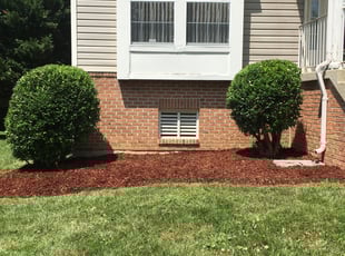 Bush Trimming by Ayinde Hawkins for Karen W. in Upper Marlboro, MD