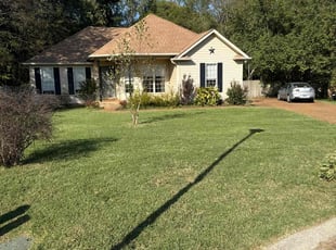Hannah Z.'s Lawn Mowing service result