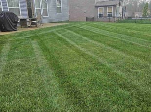 Rafay M.'s Yard Cutting service result