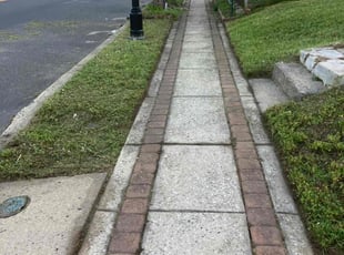 Angela M.'s Lawn Maintenance service result