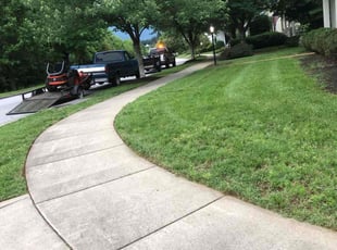 Cyndi H.'s Lawn Mowing service result