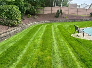 Philip M.'s Lawn Care service result