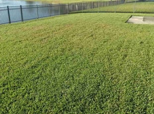 Tiffany J.'s Lawn Service service result