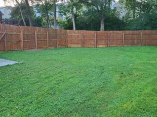 "Brook B.'s Lawn Mowing service result