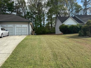 Erica D.'s Lawn Care service result