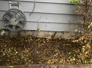Weeding by Garrick Murphy for Eddie H. in Raytown, MO
