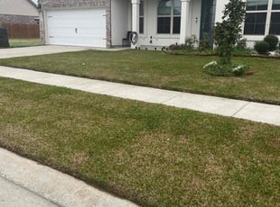Diane B.'s Lawn Care service result