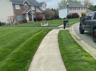 SHARON H.'s Grass Cutting service result
