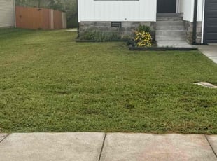 Dawn S.'s Lawn Mowing Service service result