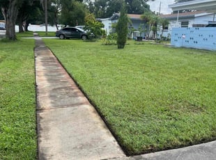 Dan M.'s Grass Cutting service result