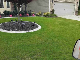 Morgan C.'s Lawn Care service result
