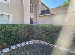 Bush Trimming by Ramon Taguja for Phillip L. in Valrico, FL